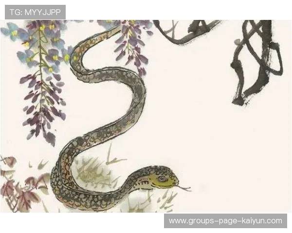 奥格斯堡冲击积分的关键场次:那些决定命运的激烈瞬间